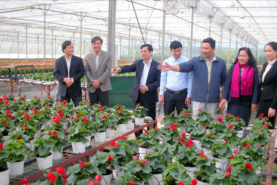 Hướng tới tín dụng nông nghiệp bền vững tại Việt Nam