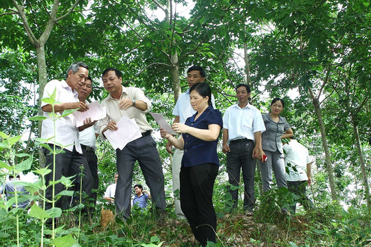 Nâng cao hiệu quả hoạt động của đại biểu HĐND