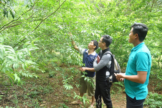 Nông thôn mới trên vùng đất cội nguồn cách mạng Nông thôn mới trên vùng đất cội nguồn cách mạng