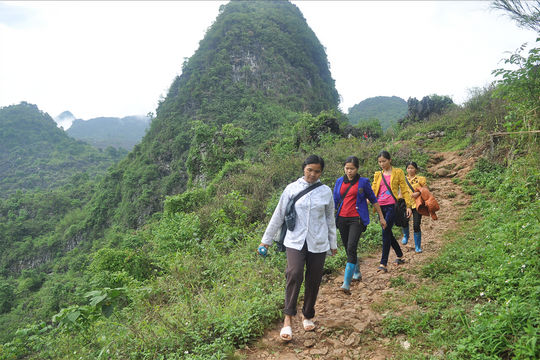 Chuyện về ngôi trường trong sương