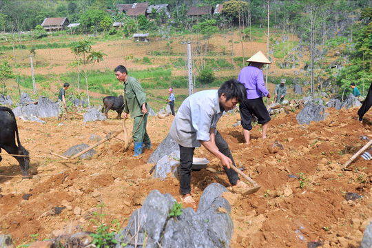 Nơi “đá béo, người gầy” Nơi “đá béo, người gầy”