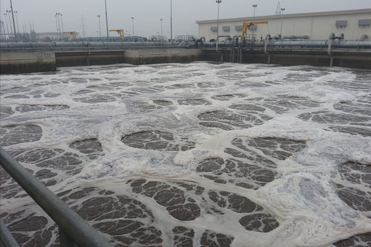 Lo ngại ô nhiễm môi trường từ doanh nghiệp FDI