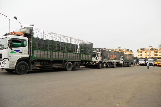 Kéo giảm cước vận tải đường bộ bằng cách nào?