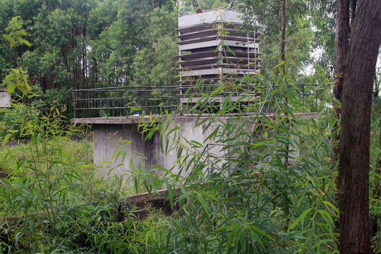 Ninh Bình: Người dân vùng ngập mặn mỏi mòn chờ… nước sạch