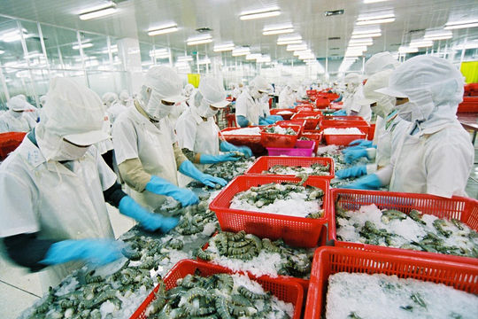 Tận dụng cơ hội đầu tư vào lĩnh vực công nghiệp thực phẩm