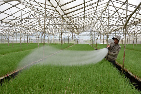 Quyết liệt đẩy lùi vấn nạn mất an toàn thực phẩm