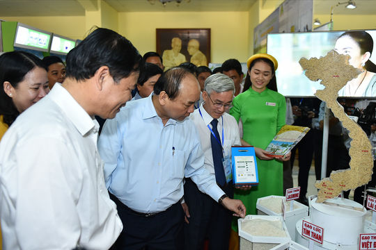 Tầm nhìn mới của ngành lúa gạo