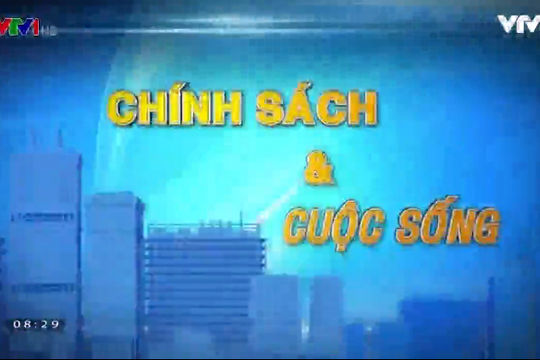 Chính sách và cuộc sống