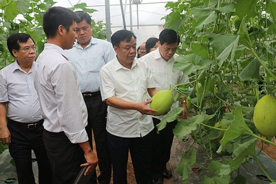 Hoàn thiện chính sách để hợp tác xã nông nghiệp phát huy thế mạnh Hoàn thiện chính sách để hợp tác xã nông nghiệp phát huy thế mạnh