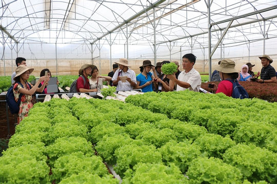 Nhiều rào cản phát triển nông nghiệp ứng dụng công nghệ cao