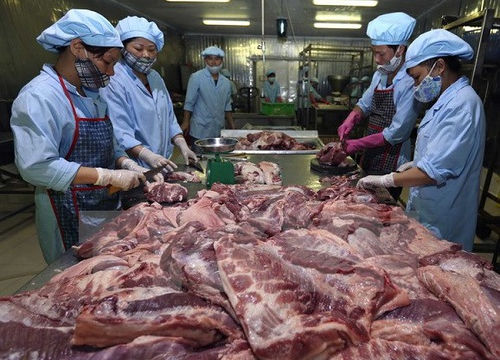 Khai thông thị trường  xuất khẩu thịt lợn