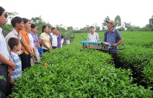 Khoa học và công nghệ đóng góp tích cực cho phát triển nông nghiệp