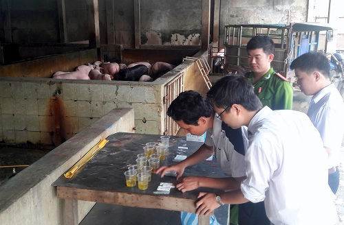 Quyết liệt hành động vì an toàn thực phẩm trong lĩnh vực nông nghiệp