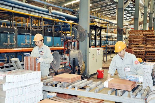 Tiềm năng thị trường và chính sách tạo động lực cho doanh nghiệp tăng trưởng