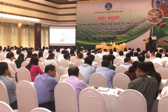 Báo động tình trạng lạm dụng thuốc bảo vệ thực vật trong sản xuất nông nghiệp