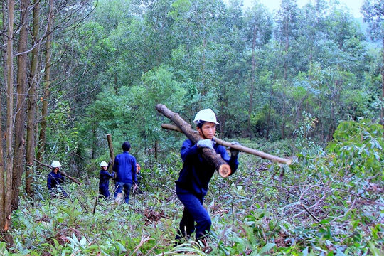 Kiến nghị xử lý, làm rõ trách nhiệm các tập thể, cá nhân liên quan đến việc để mất rừng tại các công ty nông, lâm nghiệp do UBND tỉnh Đắk Lắk quản lý