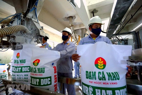 Cổ phần hóa, thoái vốn nhà nước: Vẫn thiếu các chính sách đồng bộ