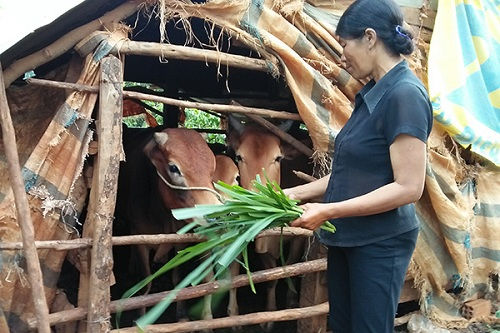 Hạn chế cho không trong thực hiện chính sách giảm nghèo
