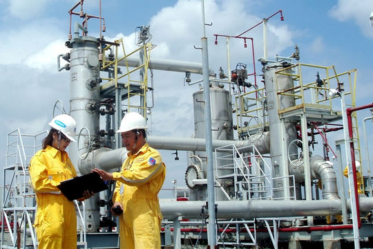 Các dự án khí Nam Côn Sơn 2 và Hàm Rồng - Thái Bình:  Nhiều thiếu sót, hạn chế ảnh hưởng đến hiệu quả thực hiện