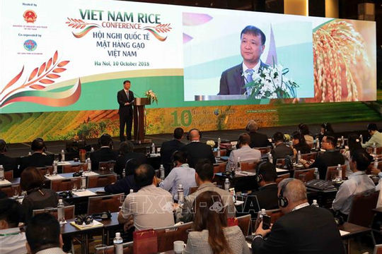 Thúc đẩy xuất khẩu gạo thương hiệu Việt ra quốc tế