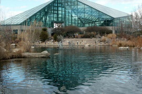 Kiểm toán phát hiện nhiều quỹ bị lạm dụng tại CSD