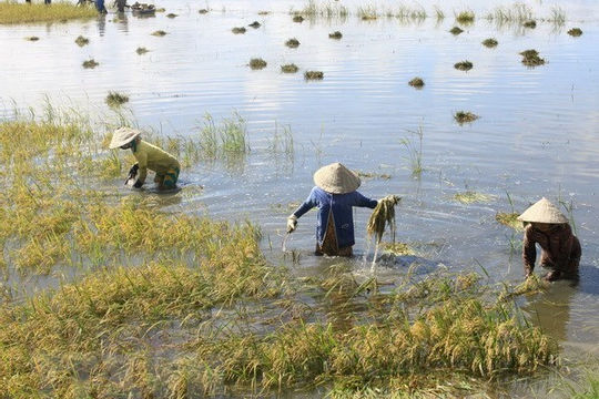 Trái phiếu xanh - kênh thu hút vốn đầy tiềm năng