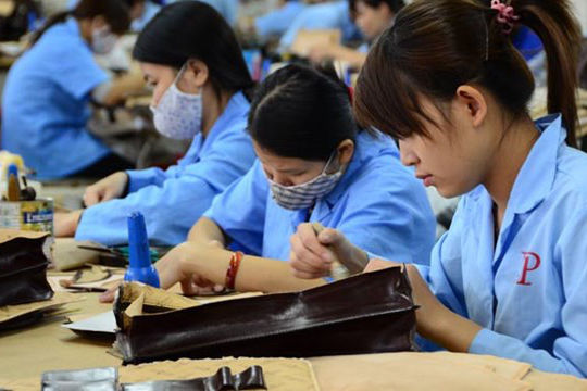 Từ 01/01/2019: Doanh nghiệp phải công khai việc đóng bảo hiểm xã hội