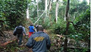 Ngân hàng Phát triển châu Phi ban hành lệnh cấm CARFAD