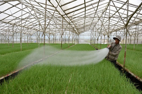 Hạn chế về chính sách đất đai cản trở đầu tư vào nông nghiệp