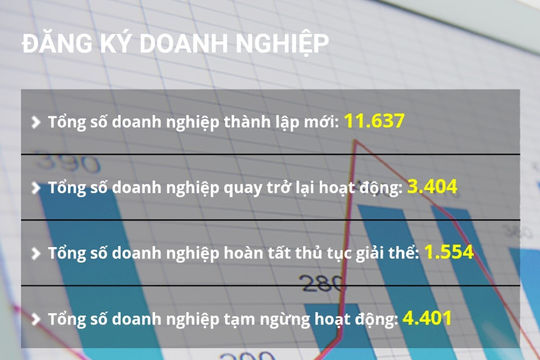 Doanh nghiệp thành lập mới giảm về số lượng và quy mô vốn