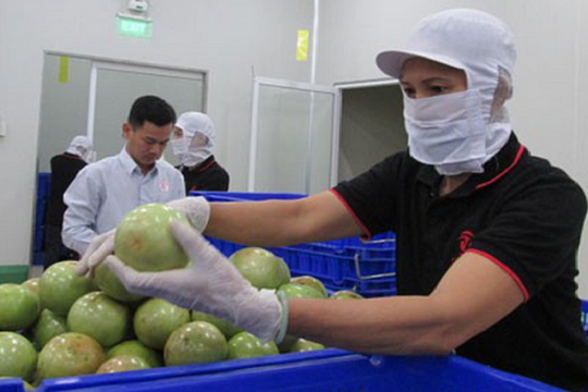 Tăng cường liên kết doanh nghiệp Việt với chuỗi giá trị toàn cầu