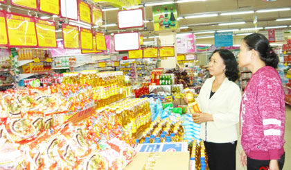 Ra mắt Hội bảo vệ Người tiêu dùng Việt Nam