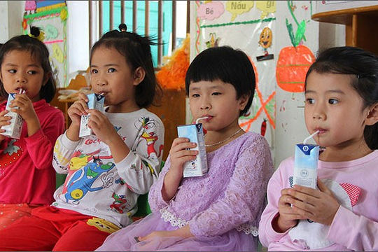 Khẩn trương triển khai Chương trình Sữa học đường