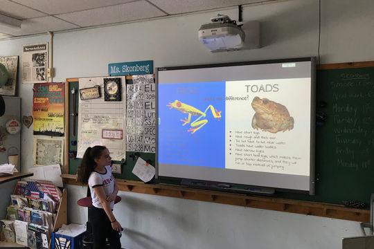 Hoa Kỳ: Sở Giáo dục New York chi tiêu ngân sách bừa bãi