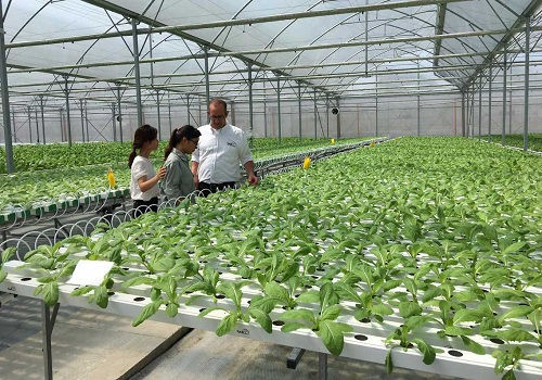 Phát triển nông nghiệp - Kinh nghiệm quốc tế và bài học cho Việt Nam