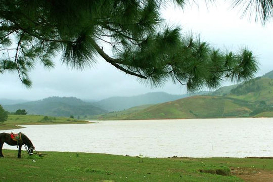 Năm 2025, Khu du lịch Đankia- Suối Vàng hướng đến mục tiêu doanh thu trên 1200 tỷ đồng