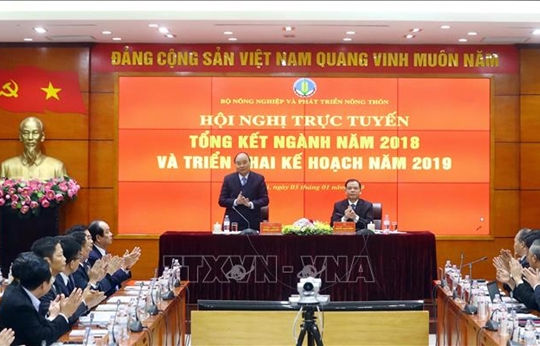 Bộ Nông nghiệp và Phát triển nông thôn triển khai kế hoạch năm 2019 Bộ Nông nghiệp và Phát triển nông thôn triển khai kế hoạch năm 2019