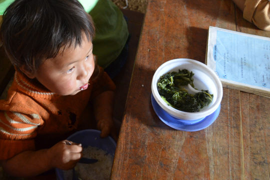 Đảm bảo chăm lo đời sống cho người nghèo dịp Tết, giáp hạt đầu năm 2019