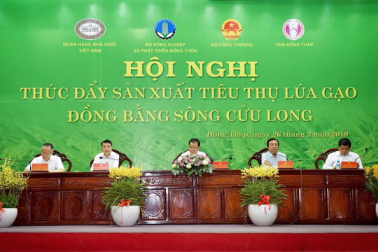 Ngành ngân hàng cam kết sẵn sàng đáp ứng đủ vốn cho sản xuất, thu mua, chế biến và tiêu thụ lúa gạo Ngành ngân hàng cam kết sẵn sàng đáp ứng đủ vốn cho sản xuất, thu mua, chế biến và tiêu thụ lúa gạo