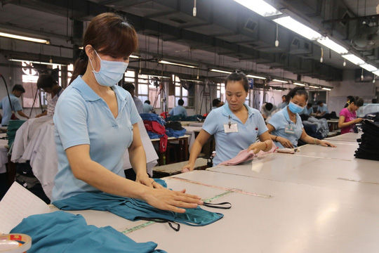 Rà soát người tham gia Bảo hiểm xã hội thông qua dữ liệu do cơ quan Thuế cung cấp