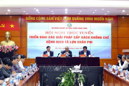 Triển khai các giải pháp cấp bách khống chế bệnh dịch tả lợn châu Phi Triển khai các giải pháp cấp bách khống chế bệnh dịch tả lợn châu Phi