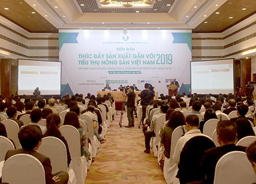 Thúc đẩy sản xuất gắn với tiêu thụ nông sản