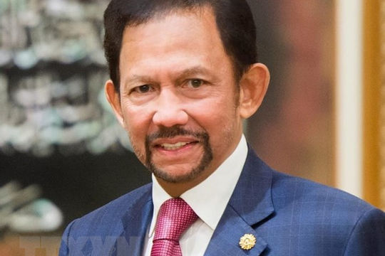 Quốc vương Brunei Darussalam bắt đầu thăm cấp Nhà nước tới Việt Nam