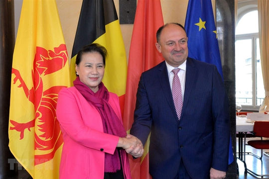 Thúc đẩy hợp tác các địa phương của Việt Nam và vùng Wallonie của Bỉ