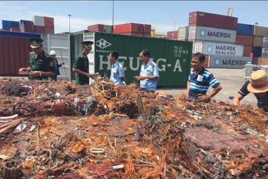 Hải quan kiên quyết buộc hãng tàu tái xuất phế thải nguy hại ra khỏi Việt Nam