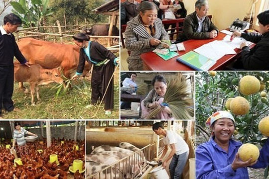 Lộ trình thực hiện các mục tiêu phát triển bền vững Việt Nam đến năm 2030 Lộ trình thực hiện các mục tiêu phát triển bền vững Việt Nam đến năm 2030