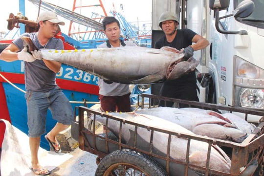 Gỡ “thẻ vàng” để thủy sản Việt Nam xuất khẩu bền vững