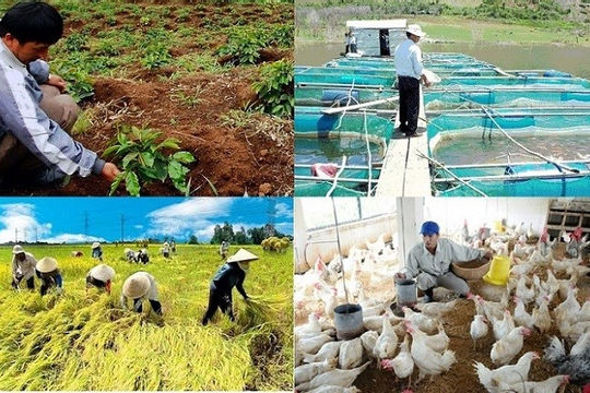 Chính sách hỗ trợ bảo hiểm nông nghiệp