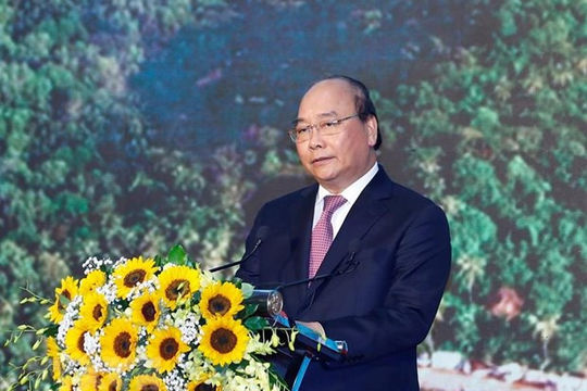 Kiên Giang không được phá vỡ môi trường vì tầm nhìn ngắn hạn