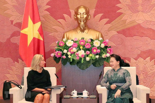 Việt Nam luôn coi EU là một trong những đối tác quan trọng hàng đầu